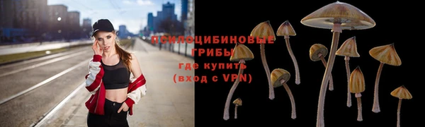 твердый Абаза