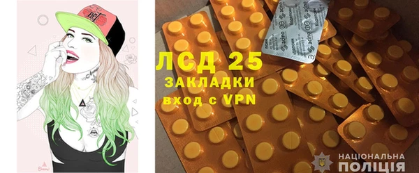 твердый Абаза