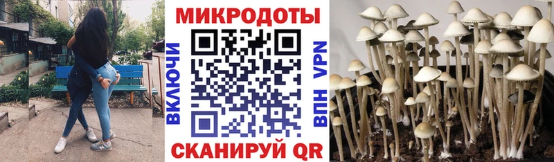 Псилоцибиновые грибы мухоморы  блэк спрут как зайти  Азов 